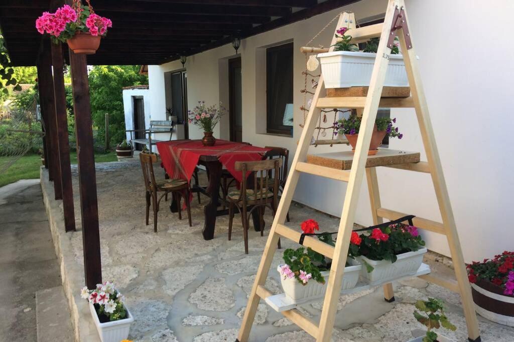 Guest House Kostadinovi Bŭlgarevo Exterior photo